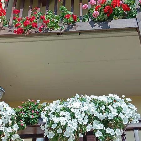 Dolomitincanto Bed & Breakfast 3*