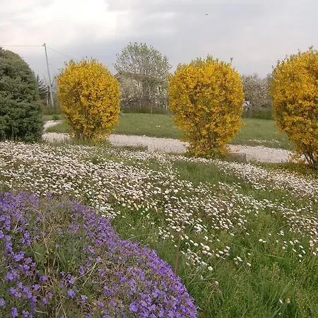 Dolomitincanto Cesiomaggiore