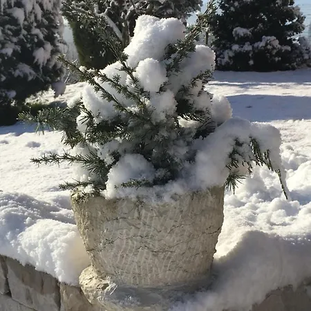 Panzió Dolomitincanto