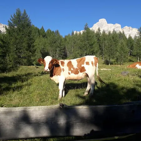 Dolomitincanto Cesiomaggiore