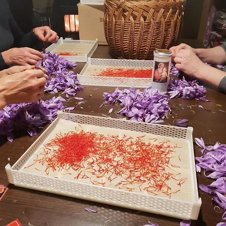 Dolomitincanto Cesiomaggiore