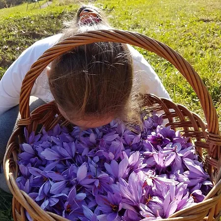 Dolomitincanto 3* Cesiomaggiore