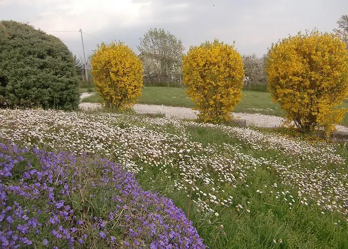 Dolomitincanto Cesiomaggiore