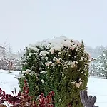 Dolomitincanto