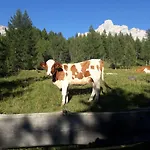 Dolomitincanto Cesiomaggiore
