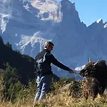Frühstückspension Dolomitincanto Cesiomaggiore