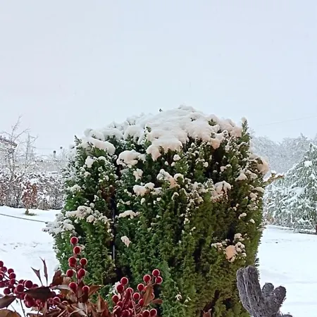 Dolomitincanto