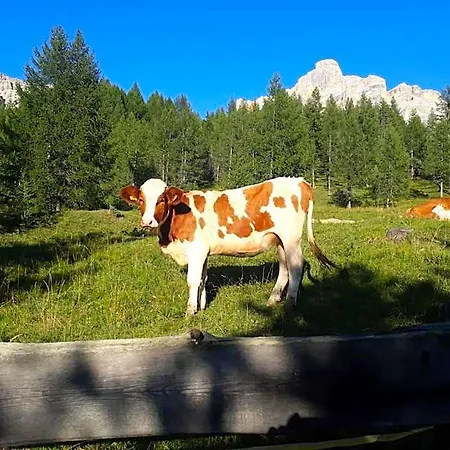 Oda ve Kahvaltı Dolomitincanto Cesiomaggiore