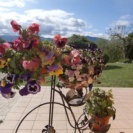 住宿加早餐酒店 多罗米亭坎托住宿加早餐旅馆