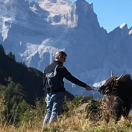 Frühstückspension Dolomitincanto Cesiomaggiore