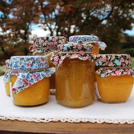 Dolomitincanto Отель типа 