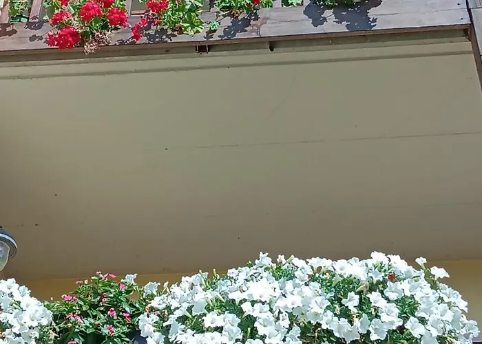 Dolomitincanto Nocleg ze śniadaniem 3*