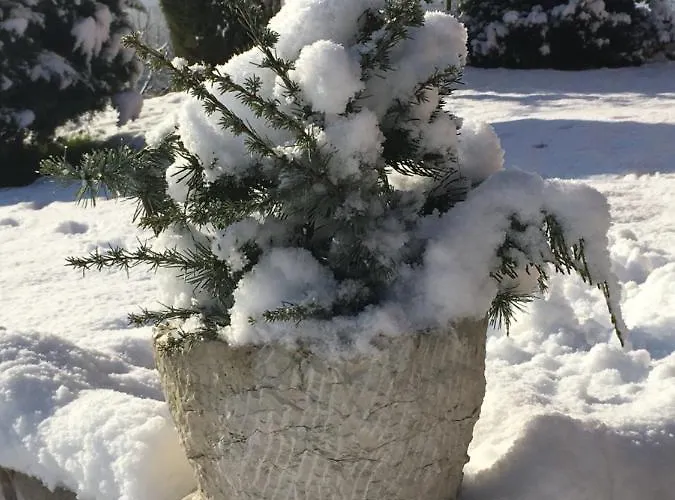 Nocleg ze śniadaniem Dolomitincanto