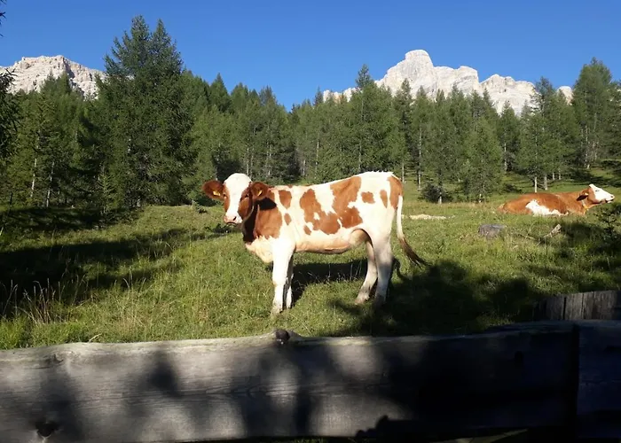 Dolomitincanto Cesiomaggiore