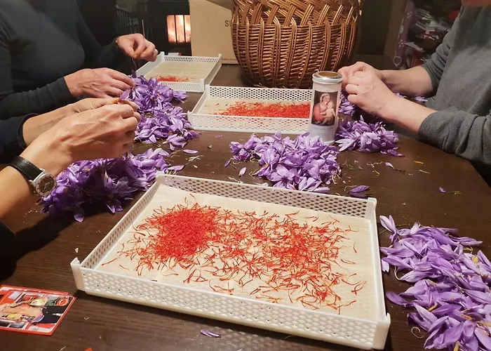 Dolomitincanto Cesiomaggiore