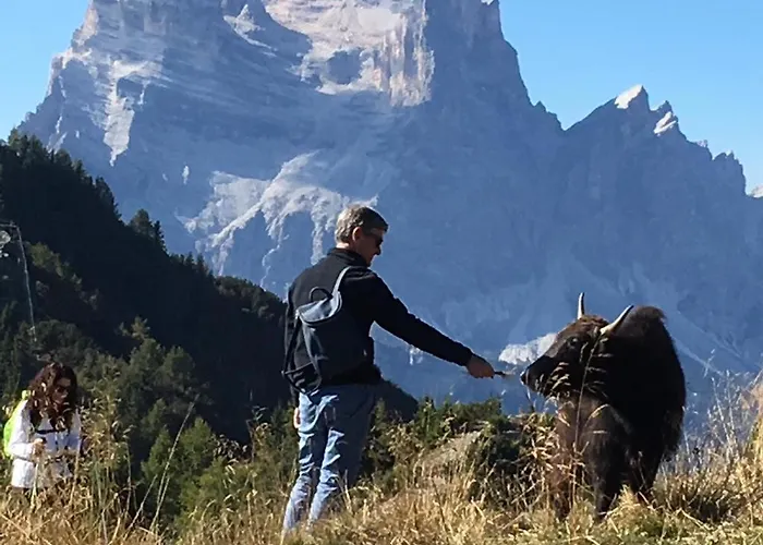 Nocleg ze śniadaniem Dolomitincanto Cesiomaggiore