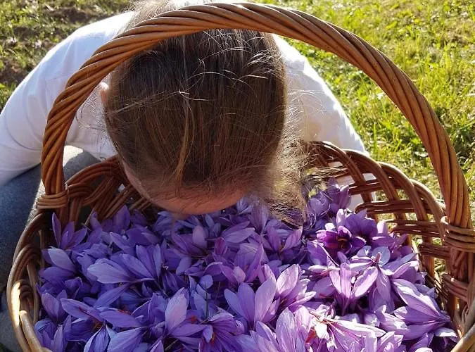 Dolomitincanto 3* Cesiomaggiore